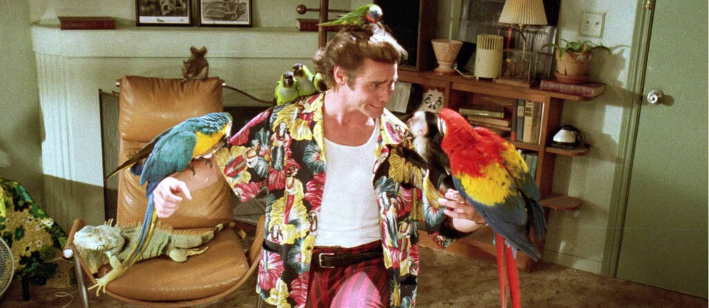 aceventura